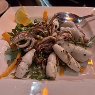 Grilled Calamari