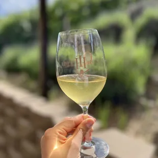 a hand holding a glass of wine
