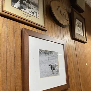 Cattleman centric decor