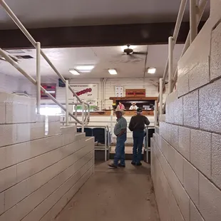 Livestock auction in back