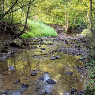 Idlewild Road Park