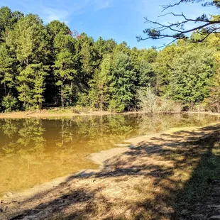 Instagram: @telephonesmoothie