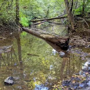 Instagram: @telephonesmoothie