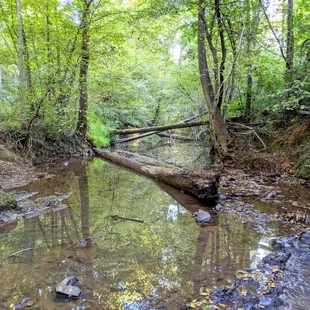 Instagram: @telephonesmoothie