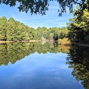 Instagram: @telephonesmoothie