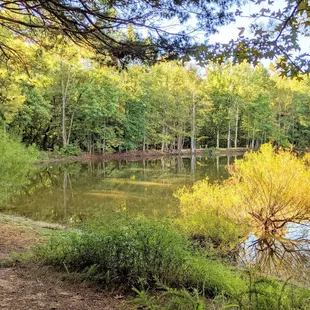 Instagram: @telephonesmoothie