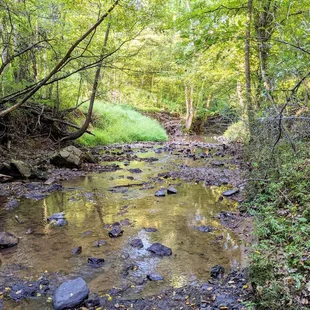 Instagram: @telephonesmoothie