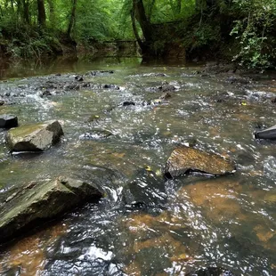 Fun to explore the water areas at this park
