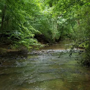 Creek nearby