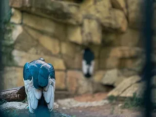 Fort Worth Zoo