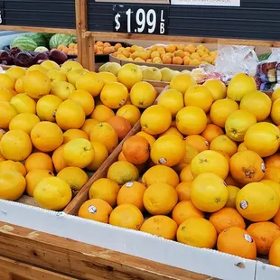 Still not the best place to get your oranges