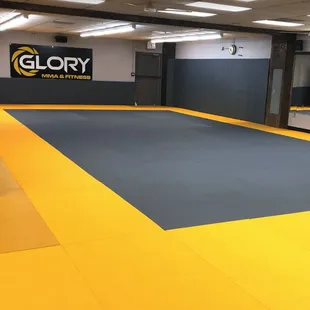 Adult MMA and Brazilian Jiu Jitsu Training Area