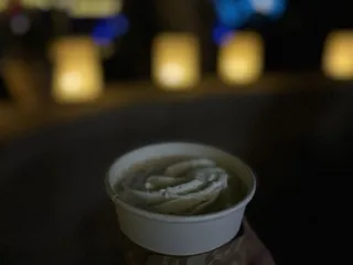 Tucson Botanical Gardens