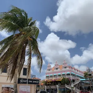 a palm tree in front of a building