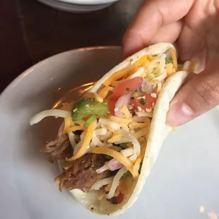 Crispy Pork Carnitas