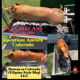 a picture of a pig roasting on a grill