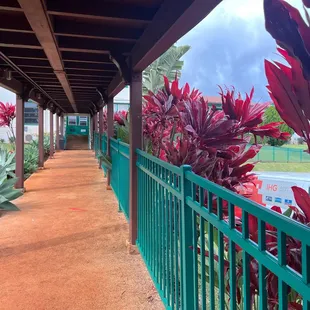 The walkway to the main entrance