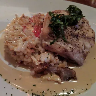Fish of the Day*