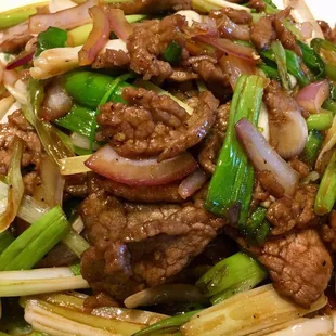 Mongolian Beef