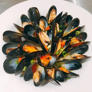 mussels, shellfish, food, oysters, oysters and mussels