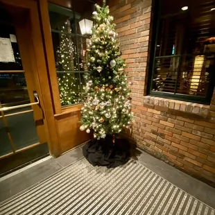 a christmas tree in front of a door
