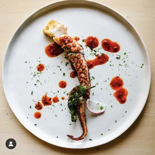 Tender octopus