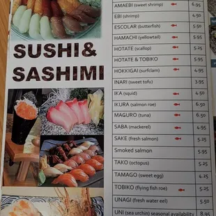 sushi and sashimi