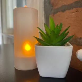 a candle and a potted plant