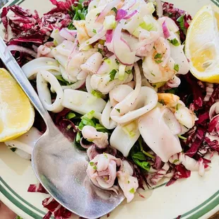 Squid and Shrimp Salad