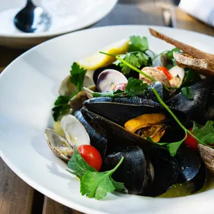 cozze e vongole, littleneck clams, mussels, grape tomato, garlic + parsley