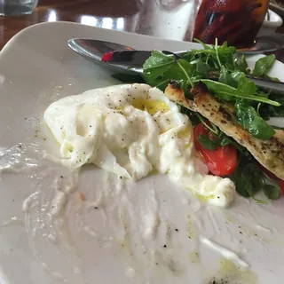 Imported Burrata