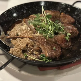 Rack of Lamb