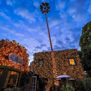 Il Cielo&apos;s Front Patio with our tall lit palm Tree.