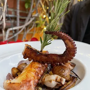 Char Broiled Octopus