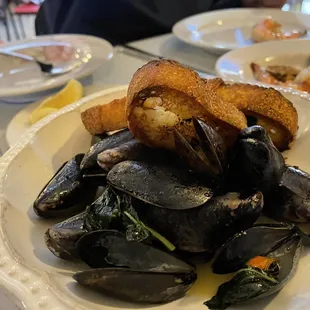 oysters and mussels, oysters, food, mussels, shellfish