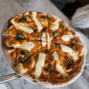 Margherita Pizza