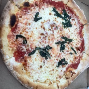 Margherita Pizza