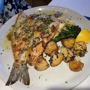 Sea Bass