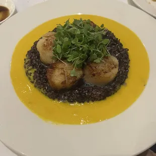 Scallops