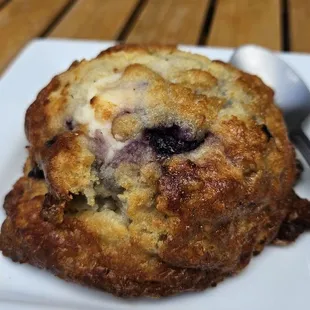 blueberry muffin