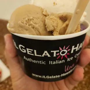 Wanted a latte, got lato instead.  Coffee flavor Gelato was delicious.