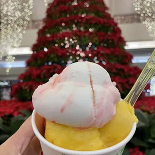 Holiday peppermint and mango