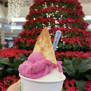 Dragon fruit and creamsicle