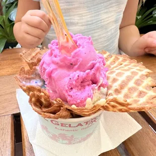 Dragon Fruit Gelato