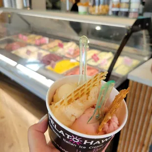 a hand holding a cup of ice cream