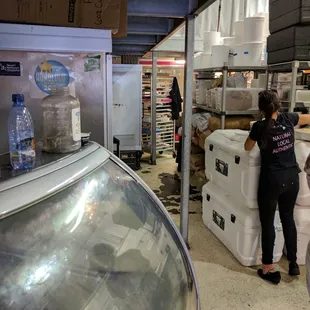 Modest appearance but incredible gelato and sorbet