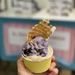 Ube cookies and cream + lilikoi sorbetto
