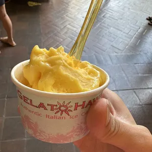 Gelato, large portion size!