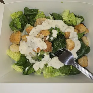 Caesar Salad