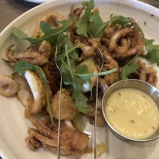 Calamari